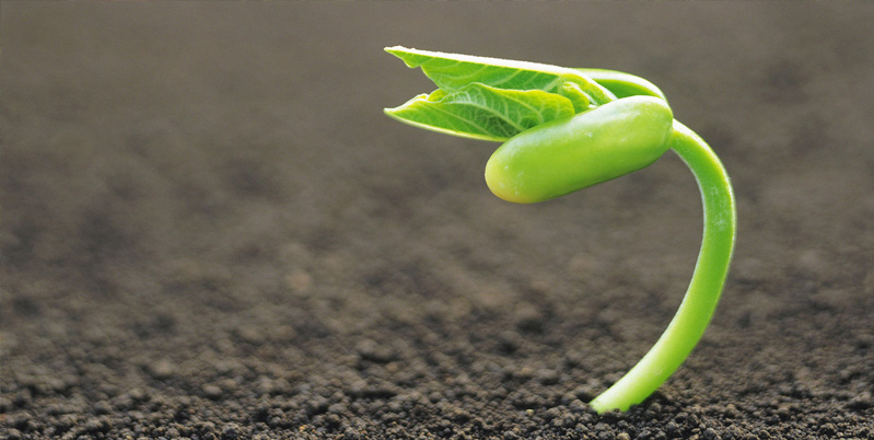 個(gè)性化服務(wù)